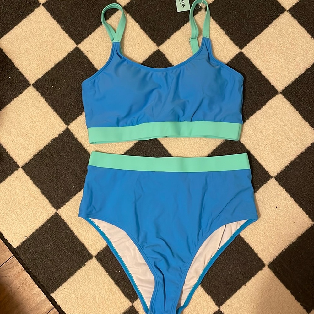 Adisputent bikini